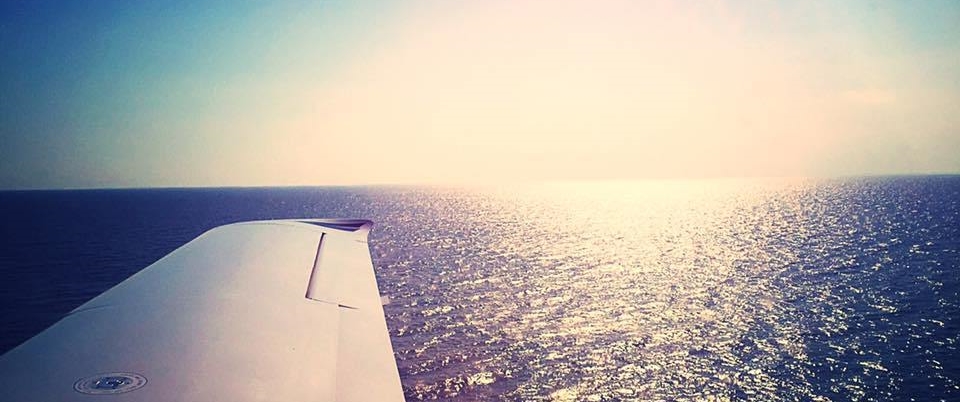 The Flight and the&nbsp;Thud